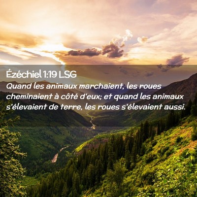 Picture 02 - Ézéchiel 1:19 LSG - Quand les animaux marchaient, les roues - Bible Verse Picture
