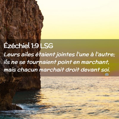 Picture 02 - Ézéchiel 1:9 LSG - Leurs ailes étaient jointes l'une à l'autre; - Bible Verse Picture