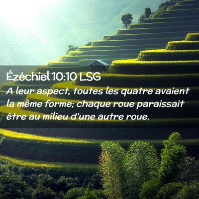 Picture 02 - Ézéchiel 10:10 LSG - A leur aspect, toutes les quatre avaient la même - Bible Verse Picture