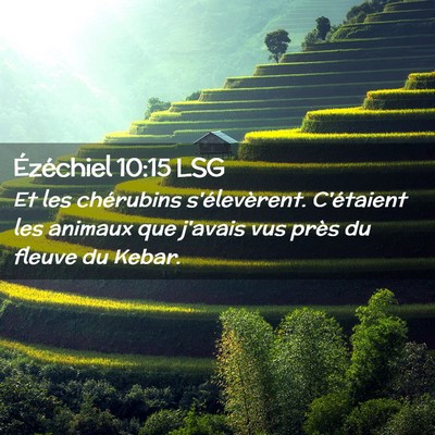 Picture 02 - Ézéchiel 10:15 LSG - Et les chérubins s'élevèrent. C'étaient les - Bible Verse Picture