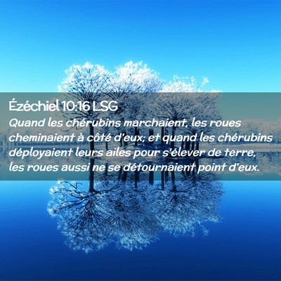Picture 02 - Ézéchiel 10:16 LSG - Quand les chérubins marchaient, les roues - Bible Verse Picture