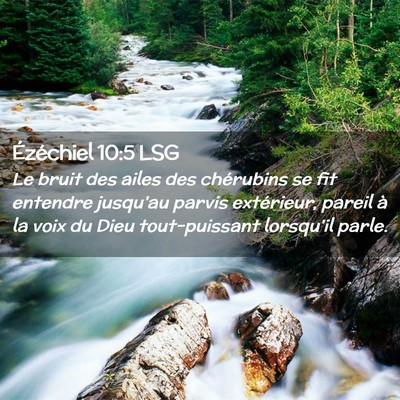 Picture 02 - Ézéchiel 10:5 LSG - Le bruit des ailes des chérubins se fit entendre - Bible Verse Picture