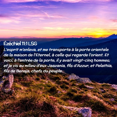 Picture 02 - Ézéchiel 11:1 LSG - L'esprit m'enleva, et me transporta à la porte - Bible Verse Picture