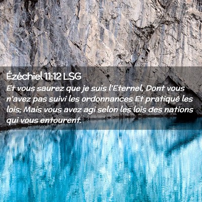 Picture 02 - Ézéchiel 11:12 LSG - Et vous saurez que je suis l'Eternel, Dont vous - Bible Verse Picture