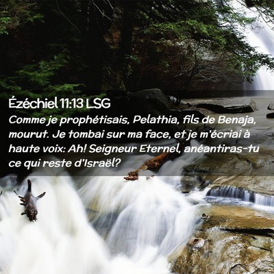 Picture 02 - Ézéchiel 11:13 LSG - Comme je prophétisais, Pelathia, fils de Benaja, - Bible Verse Picture