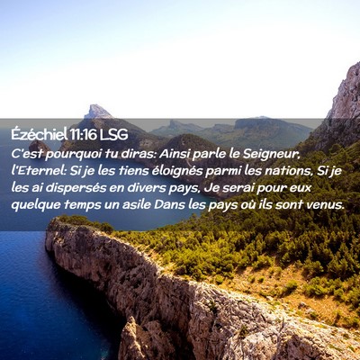 Picture 02 - Ézéchiel 11:16 LSG - C'est pourquoi tu diras: Ainsi parle le Seigneur, - Bible Verse Picture