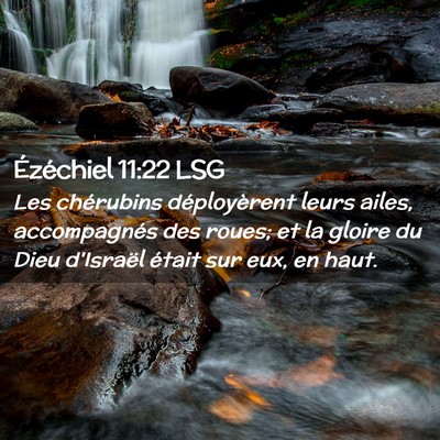 Picture 02 - Ézéchiel 11:22 LSG - Les chérubins déployèrent leurs ailes, - Bible Verse Picture
