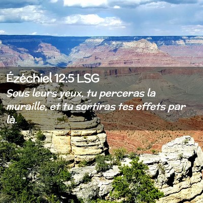 Picture 02 - Ézéchiel 12:5 LSG - Sous leurs yeux, tu perceras la muraille, et tu - Bible Verse Picture
