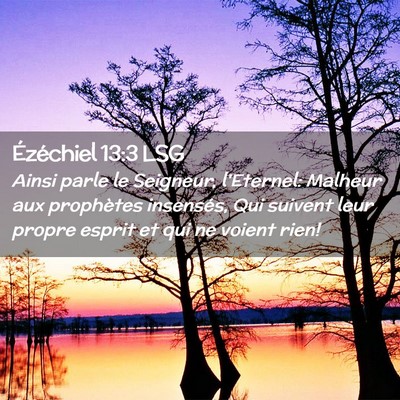 Picture 02 - Ézéchiel 13:3 LSG - Ainsi parle le Seigneur, l'Eternel: Malheur aux - Bible Verse Picture