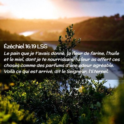Picture 02 - Ézéchiel 16:19 LSG - Le pain que je t'avais donné, la fleur de - Bible Verse Picture