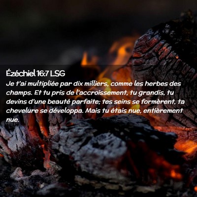 Picture 02 - Ézéchiel 16:7 LSG - Je t'ai multipliée par dix milliers, comme les - Bible Verse Picture
