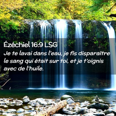 Picture 02 - Ézéchiel 16:9 LSG - Je te lavai dans l'eau, je fis disparaître le - Bible Verse Picture