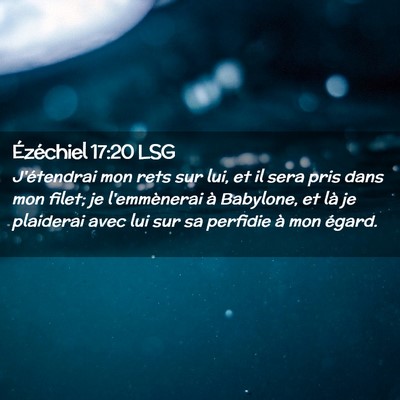 Picture 02 - Ézéchiel 17:20 LSG - J'étendrai mon rets sur lui, et il sera pris - Bible Verse Picture