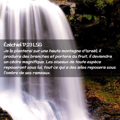 Picture 02 - Ézéchiel 17:23 LSG - Je le planterai sur une haute montagne d'Israël; - Bible Verse Picture