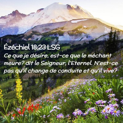 Picture 02 - Ézéchiel 18:23 LSG - Ce que je désire, est-ce que le méchant meure? - Bible Verse Picture