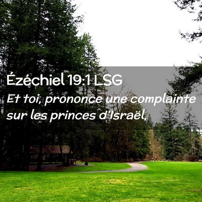 Picture 02 - Ézéchiel 19:1 LSG - Et toi, prononce une complainte sur les princes - Bible Verse Picture