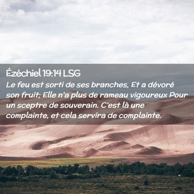 Picture 02 - Ézéchiel 19:14 LSG - Le feu est sorti de ses branches, Et a dévoré - Bible Verse Picture