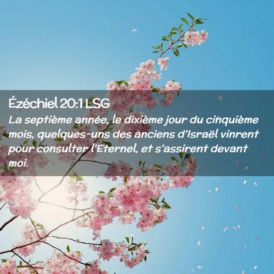 Picture 02 - Ézéchiel 20:1 LSG - La septième année, le dixième jour du - Bible Verse Picture