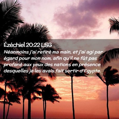 Picture 02 - Ézéchiel 20:22 LSG - Néanmoins j'ai retiré ma main, et j'ai agi par - Bible Verse Picture