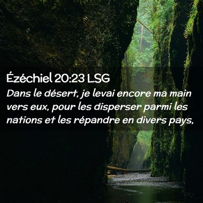Picture 02 - Ézéchiel 20:23 LSG - Dans le désert, je levai encore ma main vers - Bible Verse Picture