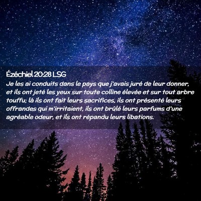 Picture 02 - Ézéchiel 20:28 LSG - Je les ai conduits dans le pays que j'avais juré - Bible Verse Picture