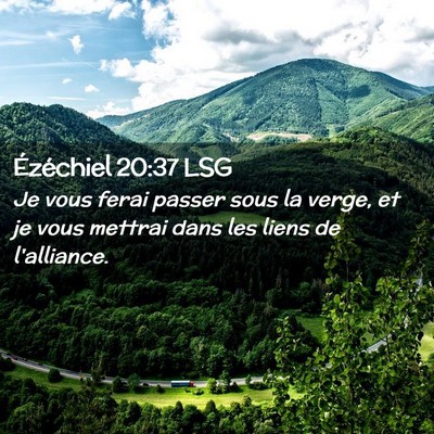 Picture 02 - Ézéchiel 20:37 LSG - Je vous ferai passer sous la verge, et je vous - Bible Verse Picture