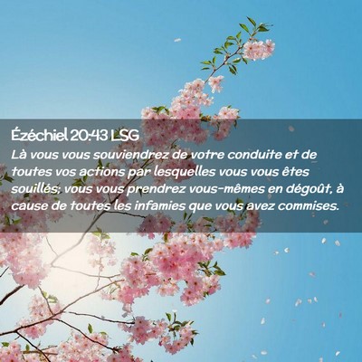 Picture 02 - Ézéchiel 20:43 LSG - Là vous vous souviendrez de votre conduite et de - Bible Verse Picture