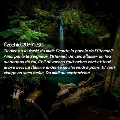 Picture 02 - Ézéchiel 20:47 LSG - Tu diras à la forêt du midi: Ecoute la parole - Bible Verse Picture