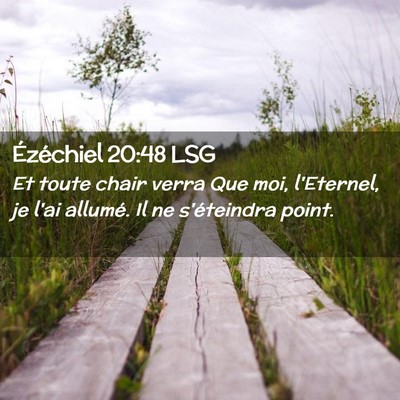 Picture 02 - Ézéchiel 20:48 LSG - Et toute chair verra Que moi, l'Eternel, je l'ai - Bible Verse Picture