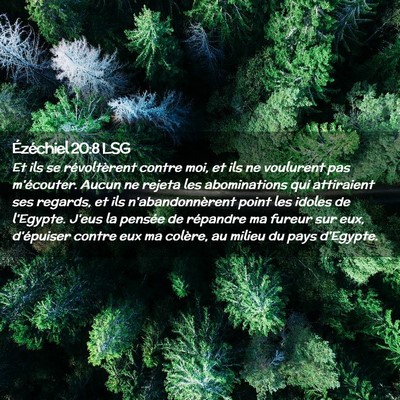 Picture 02 - Ézéchiel 20:8 LSG - Et ils se révoltèrent contre moi, et ils ne - Bible Verse Picture