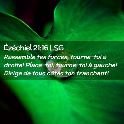 Picture 02 - Ézéchiel 21:16 LSG - Rassemble tes forces, tourne-toi à droite! - Bible Verse Picture