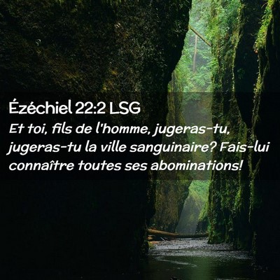 Picture 02 - Ézéchiel 22:2 LSG - Et toi, fils de l'homme, jugeras-tu, jugeras-tu - Bible Verse Picture