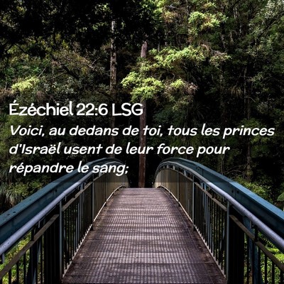 Picture 02 - Ézéchiel 22:6 LSG - Voici, au dedans de toi, tous les princes - Bible Verse Picture