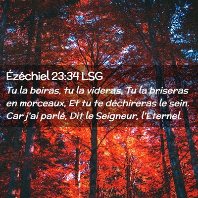 Picture 02 - Ézéchiel 23:34 LSG - Tu la boiras, tu la videras, Tu la briseras en - Bible Verse Picture