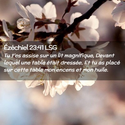 Picture 02 - Ézéchiel 23:41 LSG - Tu t'es assise sur un lit magnifique, Devant - Bible Verse Picture