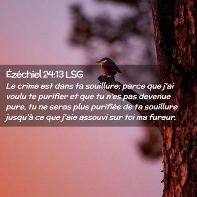 Picture 02 - Ézéchiel 24:13 LSG - Le crime est dans ta souillure; parce que j'ai - Bible Verse Picture