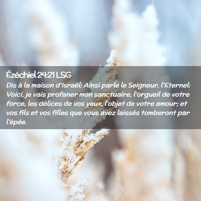 Picture 02 - Ézéchiel 24:21 LSG - Dis à la maison d'Israël: Ainsi parle le - Bible Verse Picture