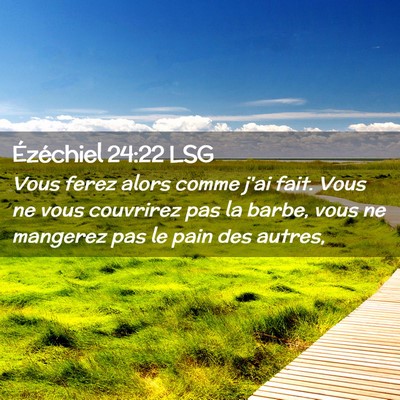 Picture 02 - Ézéchiel 24:22 LSG - Vous ferez alors comme j'ai fait. Vous ne vous - Bible Verse Picture