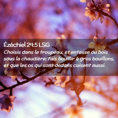 Picture 02 - Ézéchiel 24:5 LSG - Choisis dans le troupeau, et entasse du bois sous - Bible Verse Picture