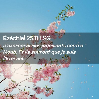 Picture 02 - Ézéchiel 25:11 LSG - J'exercerai mes jugements contre Moab. Et ils - Bible Verse Picture