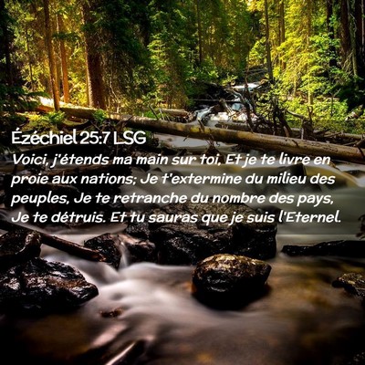 Picture 02 - Ézéchiel 25:7 LSG - Voici, j'étends ma main sur toi, Et je te livre - Bible Verse Picture