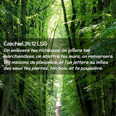 Picture 02 - Ézéchiel 26:12 LSG - On enlèvera tes richesses, on pillera tes - Bible Verse Picture