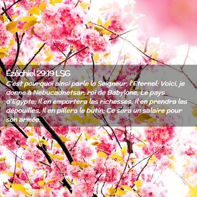 Picture 02 - Ézéchiel 29:19 LSG - C'est pourquoi ainsi parle le Seigneur, - Bible Verse Picture