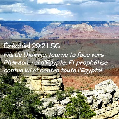 Picture 02 - Ézéchiel 29:2 LSG - Fils de l'homme, tourne ta face vers Pharaon, roi - Bible Verse Picture