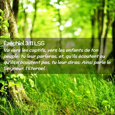 Picture 02 - Ézéchiel 3:11 LSG - Va vers les captifs, vers les enfants de ton - Bible Verse Picture