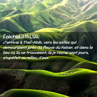 Picture 02 - Ézéchiel 3:15 LSG - J'arrivai à Thel-Abib, vers les exilés qui - Bible Verse Picture