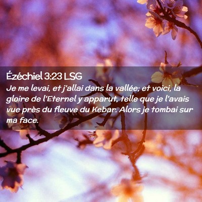 Picture 02 - Ézéchiel 3:23 LSG - Je me levai, et j'allai dans la vallée; et - Bible Verse Picture