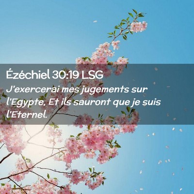 Picture 02 - Ézéchiel 30:19 LSG - J'exercerai mes jugements sur l'Egypte, Et ils - Bible Verse Picture