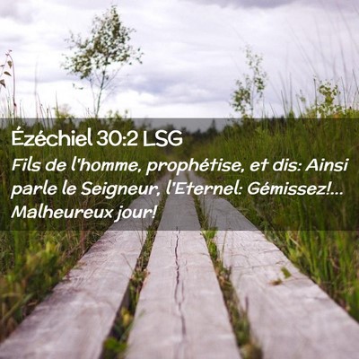 Picture 02 - Ézéchiel 30:2 LSG - Fils de l'homme, prophétise, et dis: Ainsi parle - Bible Verse Picture