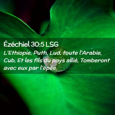 Picture 02 - Ézéchiel 30:5 LSG - L'Ethiopie, Puth, Lud, toute l'Arabie, Cub, Et - Bible Verse Picture
